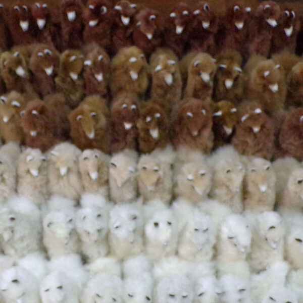 Unique 10 Inches Height stuffed animal plush alpaca suri fur - Image 9